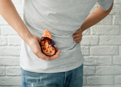 Kidney stone symptoms in Marathi with kidney diagram