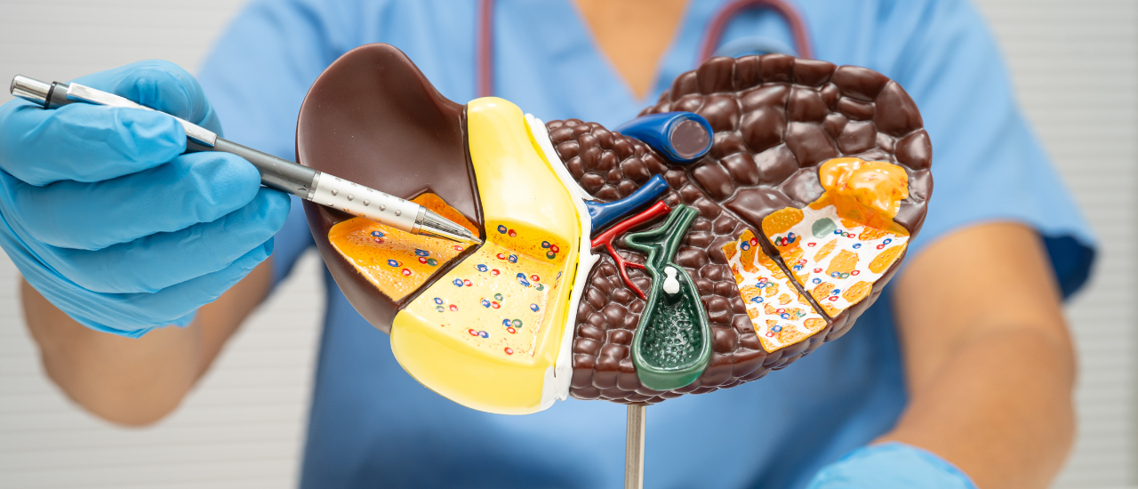 Doctor explaining liver function test to patient