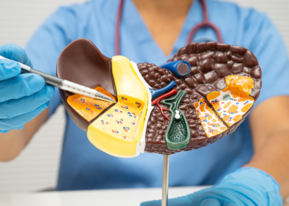 Doctor explaining liver function test to patient