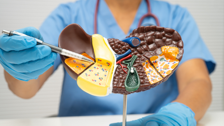 लिव्हर फंक्शन टेस्ट म्हणजे काय? रिपोर्ट कसा समजून घ्यावा?